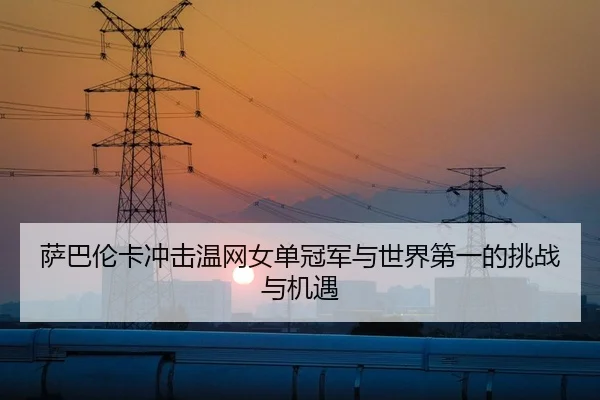 萨巴伦卡冲击温网女单冠军与世界第一的挑战与机遇