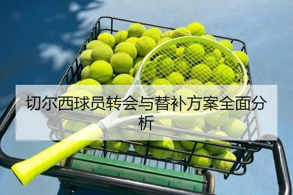 切尔西球员转会与替补方案全面分析